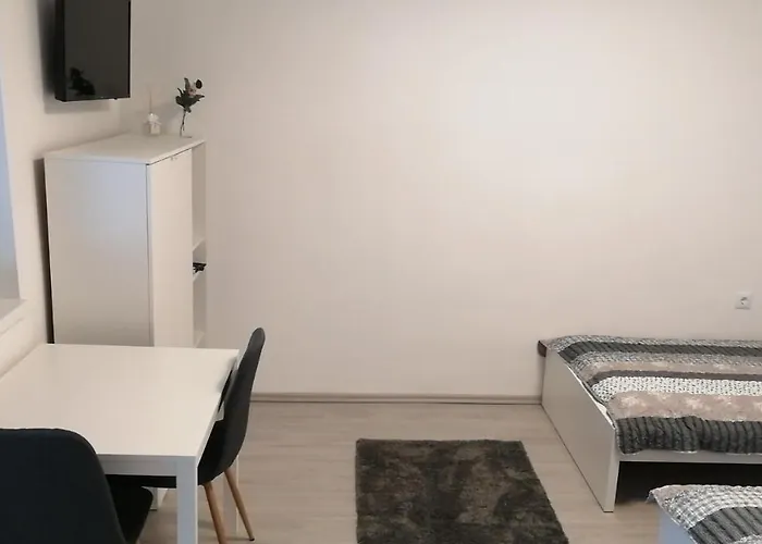 Daire Werner Mohács